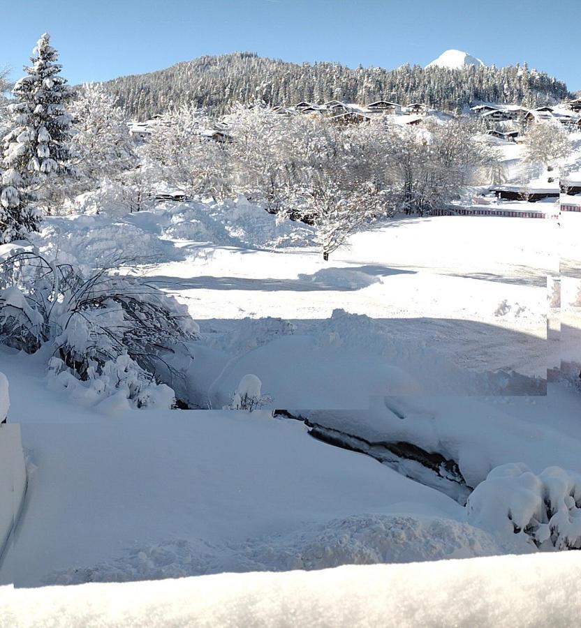 Antoni Apartements Seefeld no Tirol Exterior foto